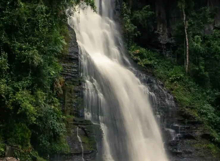 Wide waterfall surrounded by dense green forest