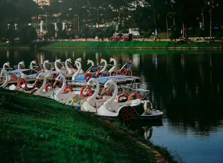 Swan paddle boats lined up on the shore of Xuan Huong Lake
