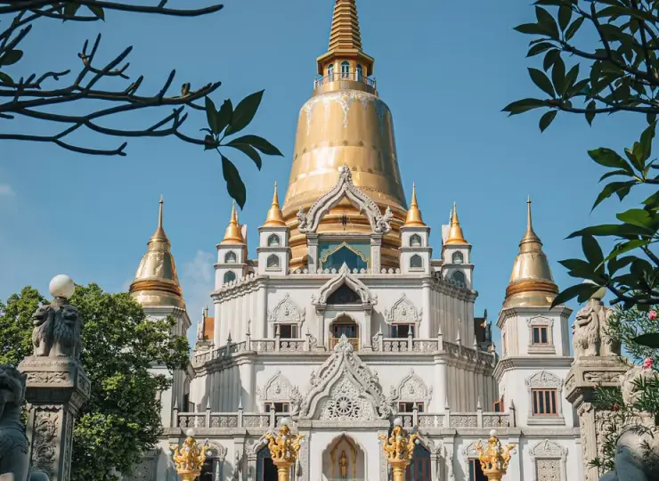 Buu Long Pagoda framed by tree branches in Ho Chi Minh City
