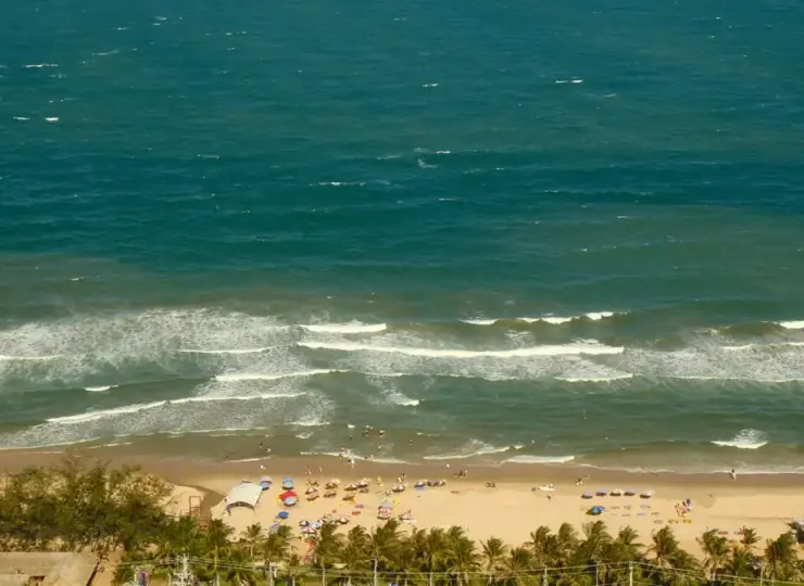 Aerial view of ocean waves, beach, and palm trees