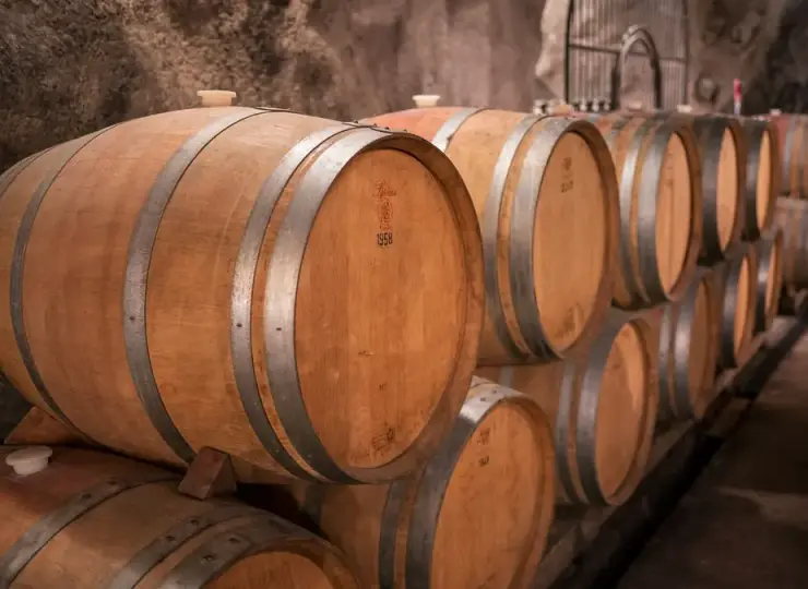 Rows of wine barrels in a cellar