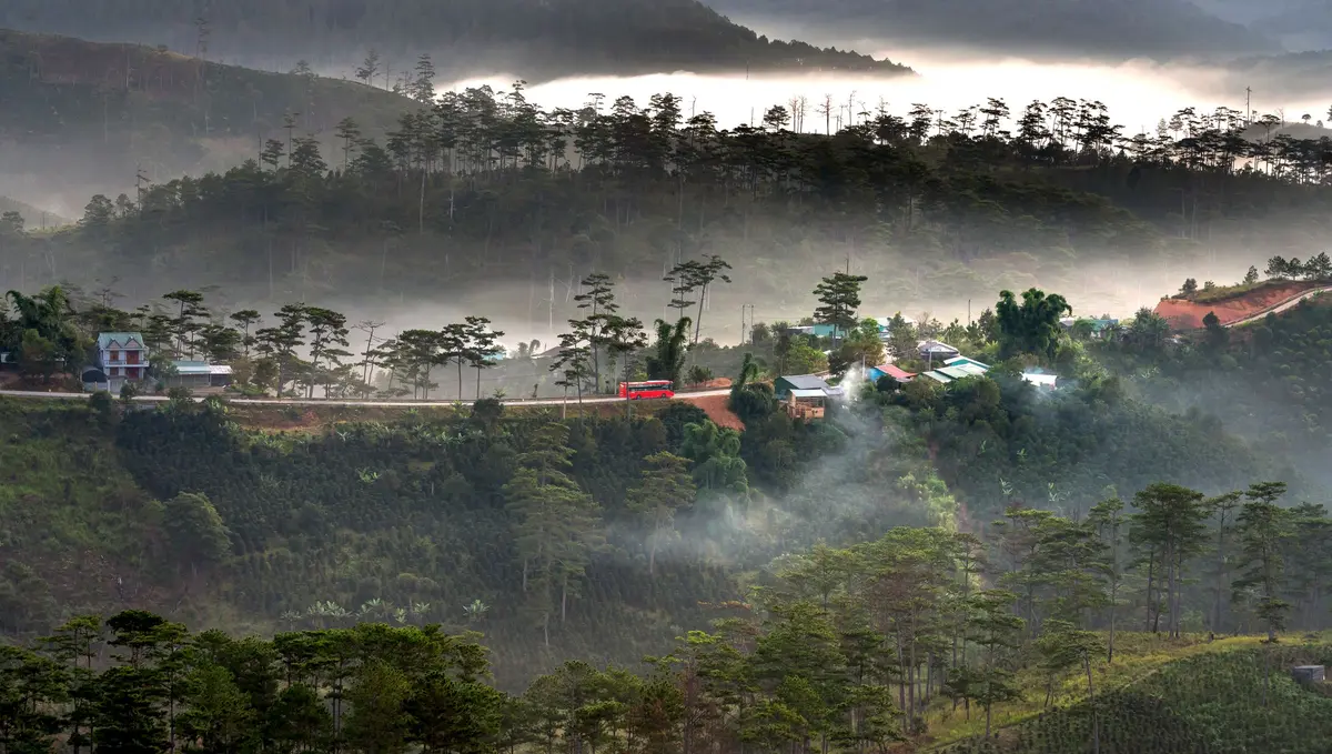 Misty green countryside and pine forests around Da Lat during rainy season
