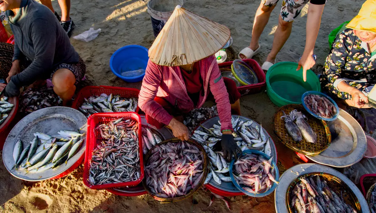 Vendors sorting fresh fish and squid at a beach market in Mui Ne
