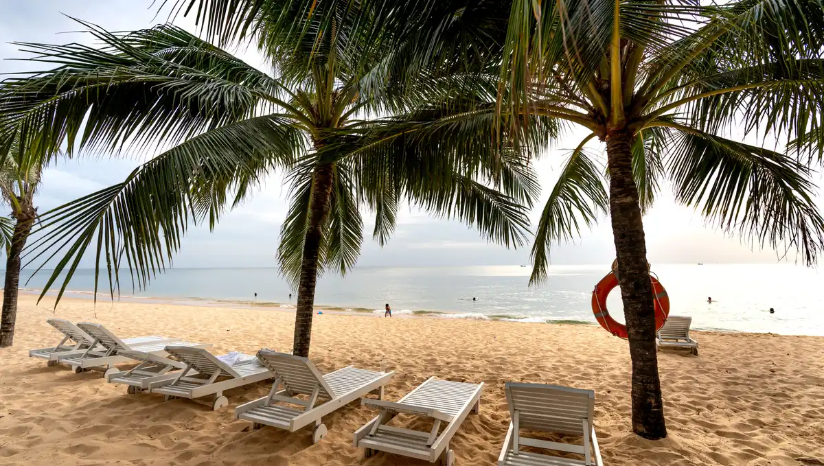 Palm-lined beach with sun loungers beside the calm sea in Mui Ne