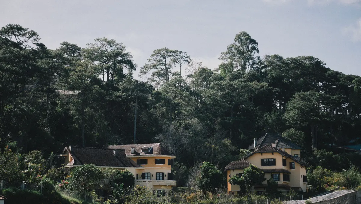 French colonial villas surrounded by pine trees in Da Lat