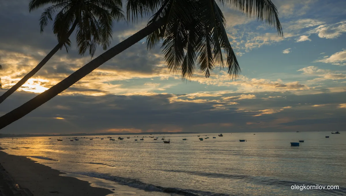 Fishing boats off a palm-lined beach at sunset in Mui Ne Fishing Village